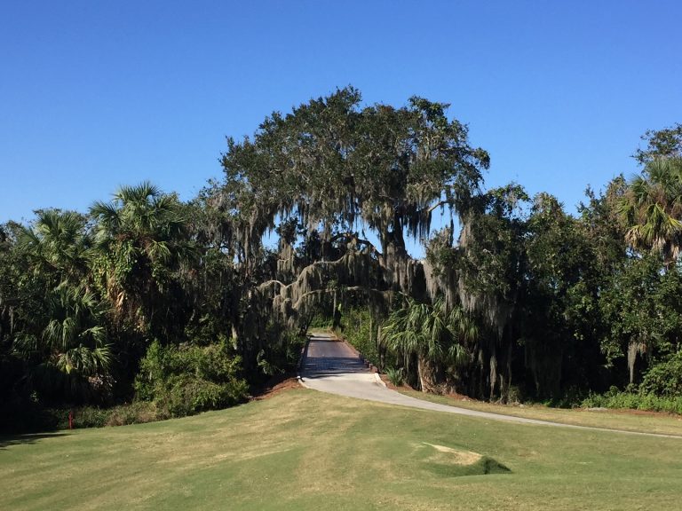 Condo Golf Cart